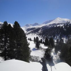 Skitouren durch Zirbenwaelder und langen Seitentaelern bis auf 2200 m.jpg