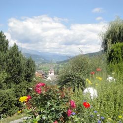 Blumen am Rande unseres gebuehrenfreien Parkplatzes.jpg